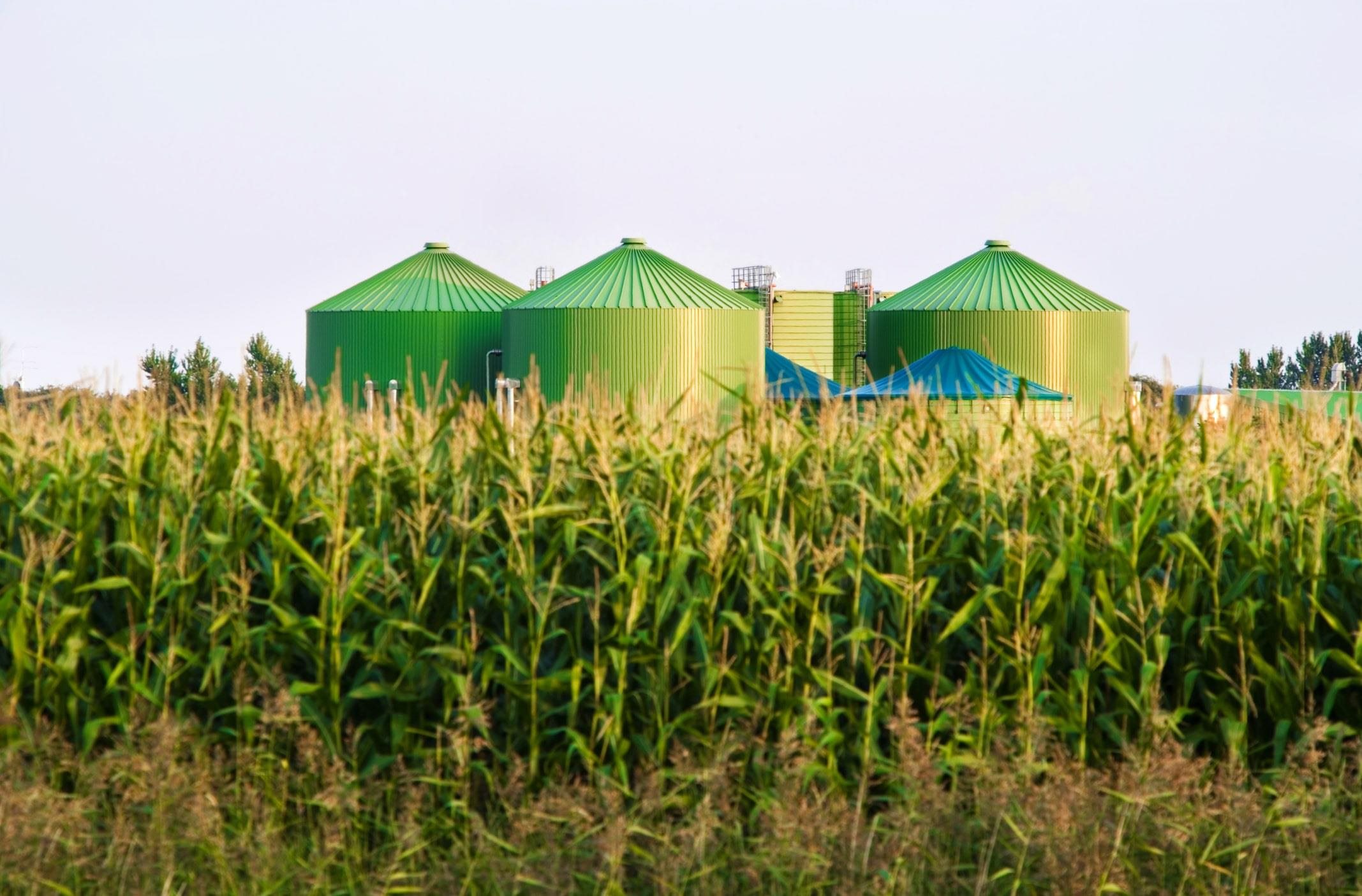 Biomass Energy